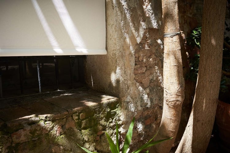 sauleda_image_slider_1